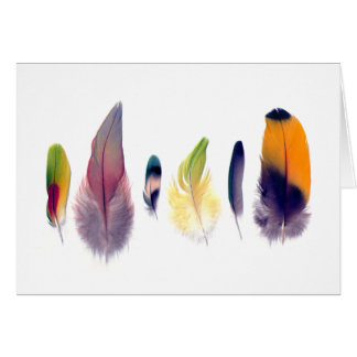 Collectie Parrot Feather