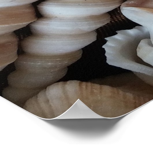 Collectie, Poster, Natuur, zomerbak Poster (Hoek)