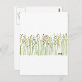 collectie "SPRINGSTROMEN" Briefkaart (Voorkant / Achterkant)