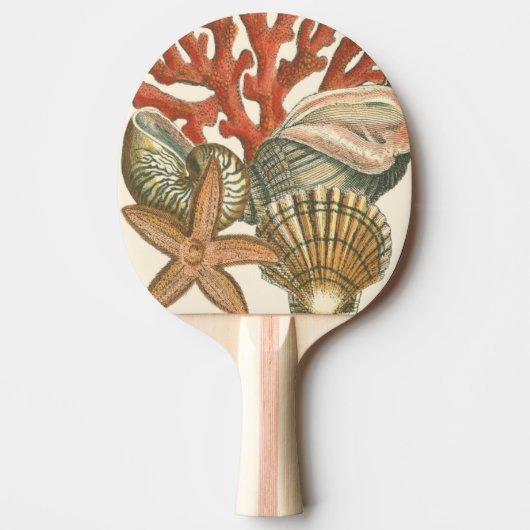 Collectie Tafeltennisbatje (Voorkant)