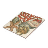 Collectie Tegeltje (Zijkant)