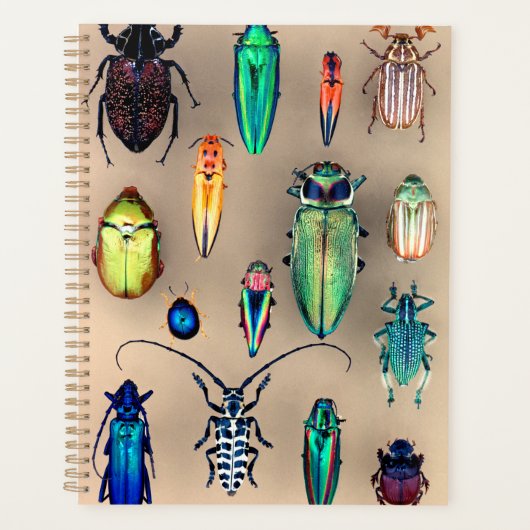 Collectie van beetel planner (Voorkant)