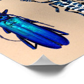 Collectie van beetel poster (Hoek)