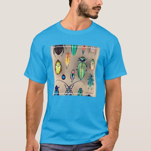 Collectie van beetel t-shirt (Voorkant)