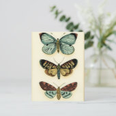 Collectie van Butterfly door Chariklia Zarris Briefkaart (Staand voorkant)