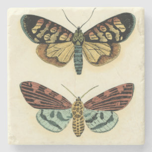 Collectie van Butterfly door Chariklia Zarris Stenen Onderzetter