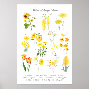 collectie van gele en oranje bloemen poster