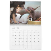 Collectie van meest recente puppies foto Happy New Kalender (Mar 2026)