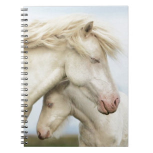 Collectie van paarden notitieboek