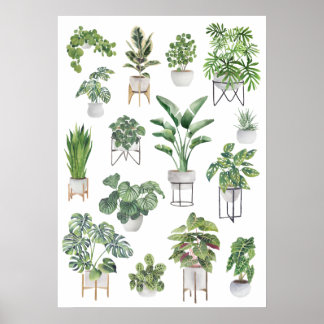 Collectie van Plant 5 Poster