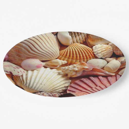 Collectie van schelpen Scallops Clams en Conch Papieren Bordje (Gekanteld)