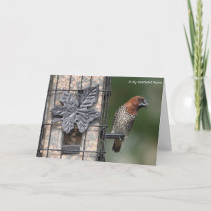 Collectie van vogels: Spice Finch (blanco noten) Kaart