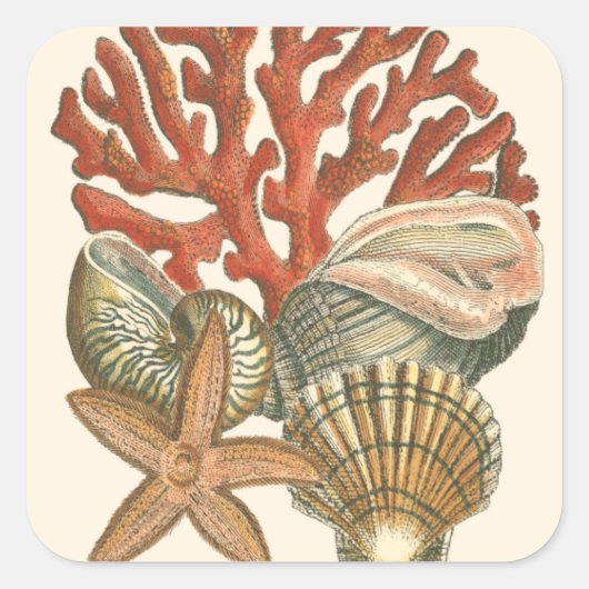 Collectie Vierkante Sticker (Voorkant)