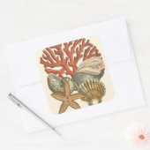 Collectie Vierkante Sticker (Envelop)