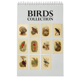 Collectie vogelillustratie kalender
