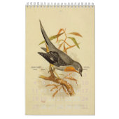 Collectie  vogelillustratie kalender (Jan 2026)