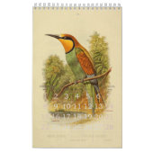 Collectie  vogelillustratie kalender (Feb 2026)