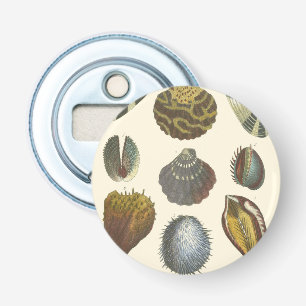 Collectie voor conchologie button flesopener