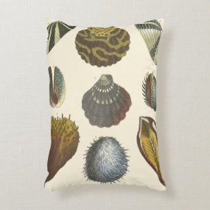Collectie voor conchologie decoratief kussen