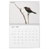 Collectie voor vogelfotografie kalender (Mar 2026)