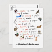 Collectieve nonnen: briefkaarten (Voorkant / Achterkant)