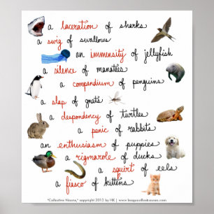 Collectieve zelfstandige naamwoorden: posters