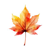 Sticker Carré Grateful Autumn Leaf Watercolor