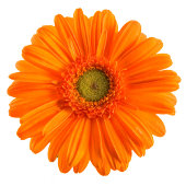 Floral Daisy Bachelorette Party gepersonaliseerd Confetti