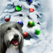 Papier Cadeau Noël de Collie barrée