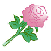 Mug Big Beautiful Yellow Rose