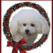 Bichon Frise Cadeaux de Noël Ornement