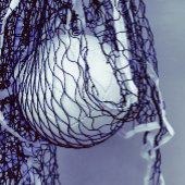 Invitation Jour de l'anniversaire du volley-ball gris