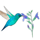 Serviette En Papier Hummingbirds Birthday