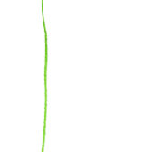 Cartons Réponse Russe mariage bleu fleurs sauvages simple aquarell