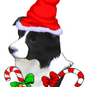 Papier Cadeau Bordure Collie Noël