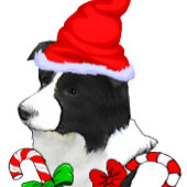 Papier Cadeau Bordure Collie Noël