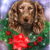 Papier Cadeau Boykin Spaniel Joyeux Noël