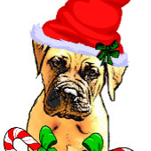 Papier Cadeau Joyeux Noël Bullmastiff