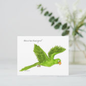 Collection Carte postale Chip (Debout devant)