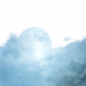 Programme Collection de mariage atmosphérique Moonlight Shim