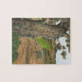 Collection Chip dans un eucalyptus Puzzle (Horizontal)