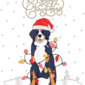 T-shirt Blue Heeler avec pull de Noël - Joyeux Noël