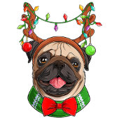 Papier Cadeau Noël drôle Père Noël