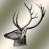 Rafraîchisseur Pour Canette Christmas Party Floral Reindeer Golden Winter