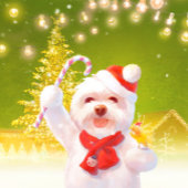 Cravate Chien de Noël avec Sucre de canne