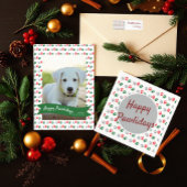 Papier Cadeau Pattes de Noël