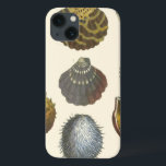 Collection Conchology<br><div class="desc">Si vous ne pouvez pas vous rendre à la plage aujourd'hui, obtenez cette image de style classique de cette image unique de la vie marine par Albertus Seba! Imaginez-vous sur une plage à la découverte d'anémones marins que la nature a à offrir. Ces coquillages et plantes de mer au bord...</div>
