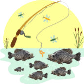 Feuille De Papier Cadeau Cool Crappie Panfish Pêche Homme