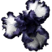 Invitation Minimaliste violet foncé Radiant Diaphane moderne