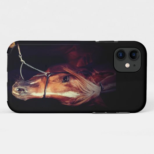 collection de chevaux. coque rouge arabe (Dos (Horizontal))